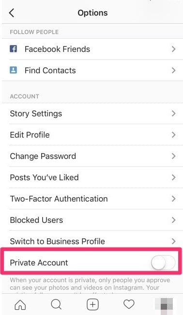 buy instagram followers